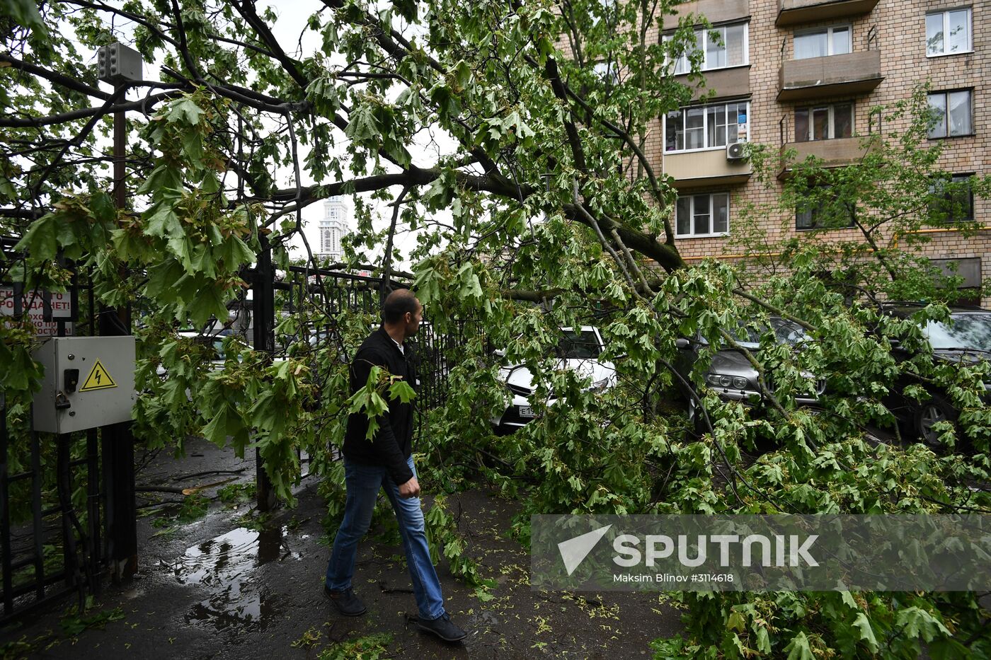 Hurricane aftermath in Moscow