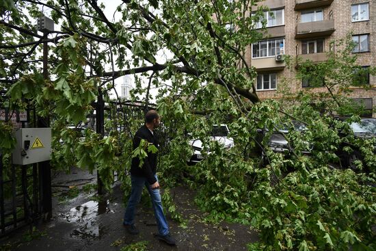 Hurricane aftermath in Moscow