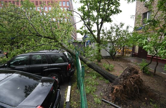 Hurricane aftermath in Moscow