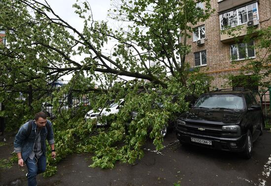 Hurricane aftermath in Moscow