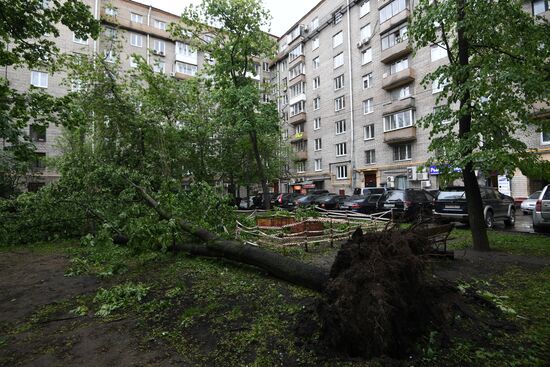 Hurricane aftermath in Moscow