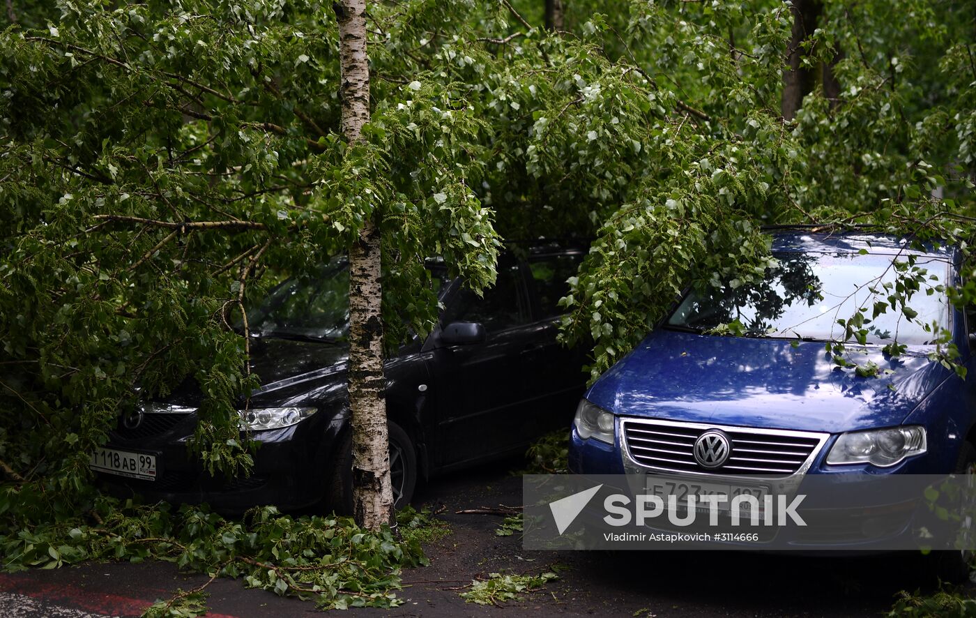 Hurricane aftermath in Moscow