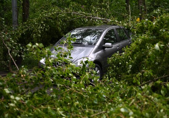 Hurricane aftermath in Moscow