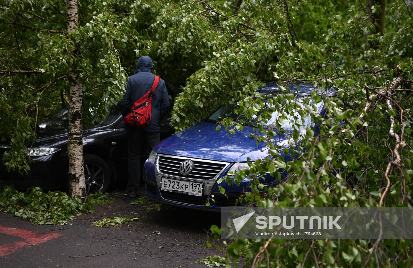 Hurricane aftermath in Moscow