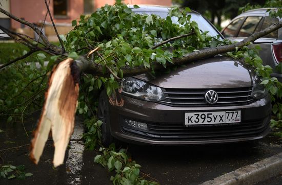 Hurricane aftermath in Moscow