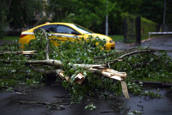 Hurricane aftermath in Moscow