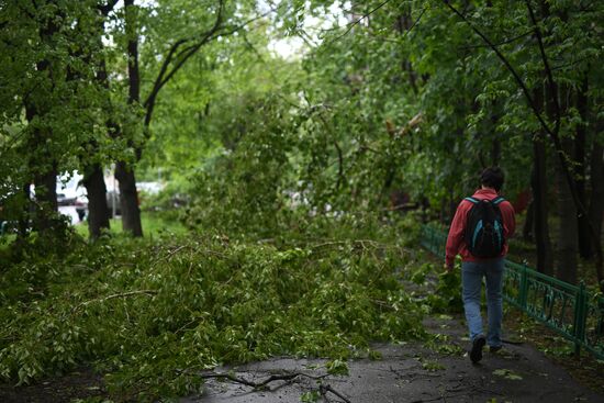 Hurricane aftermath in Moscow