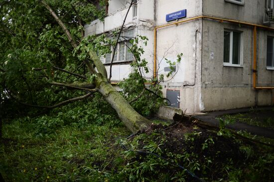Hurricane aftermath in Moscow