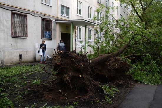 Hurricane aftermath in Moscow