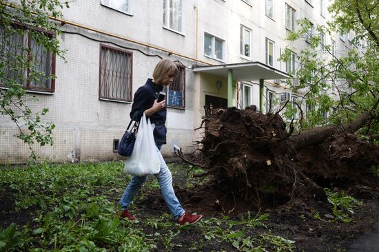 Hurricane aftermath in Moscow