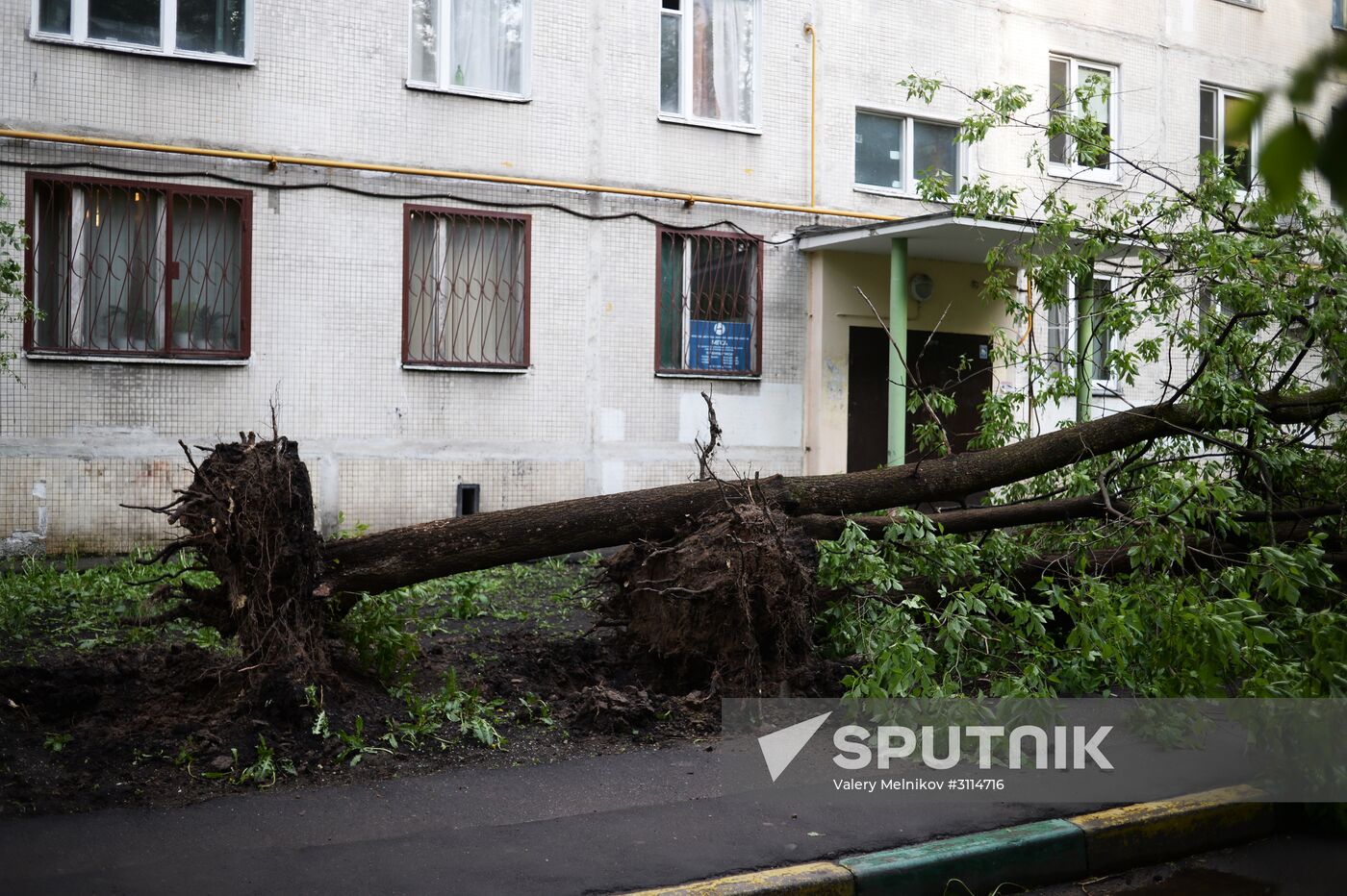 Hurricane aftermath in Moscow
