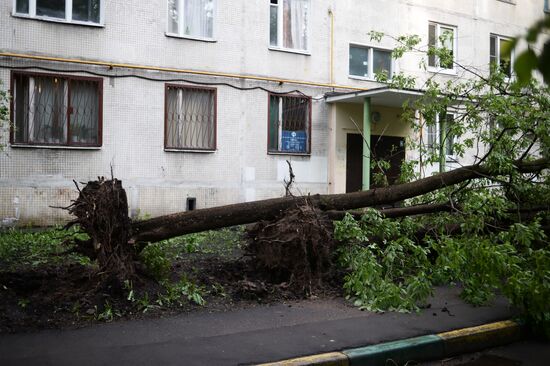 Hurricane aftermath in Moscow