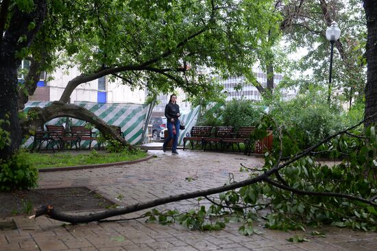 Hurricane aftermath in Moscow