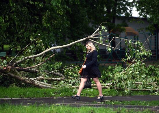 Hurricane aftermath in Moscow
