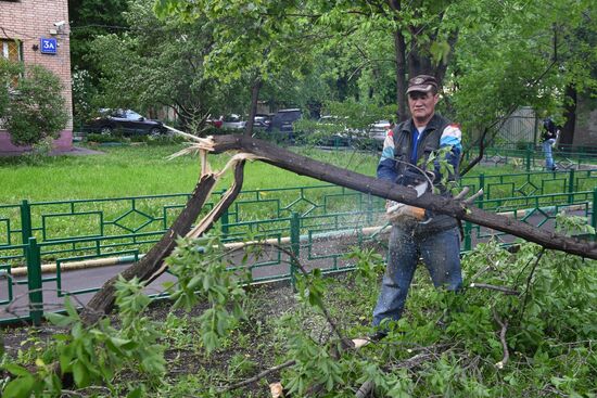 Sorting out hurricane aftermath in Moscow