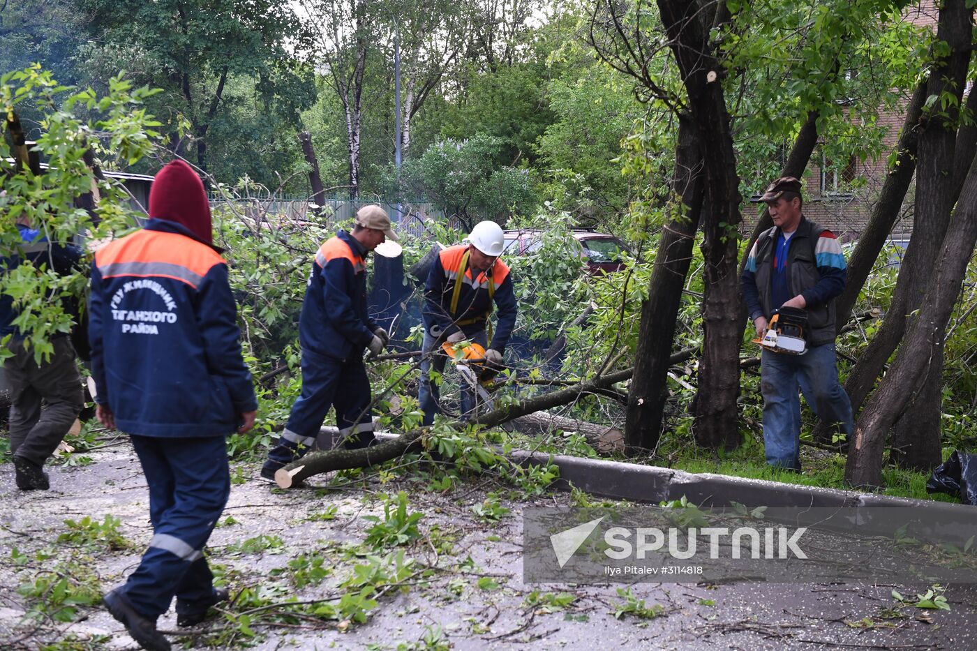 Sorting out hurricane aftermath in Moscow