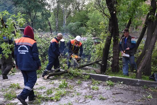 Sorting out hurricane aftermath in Moscow