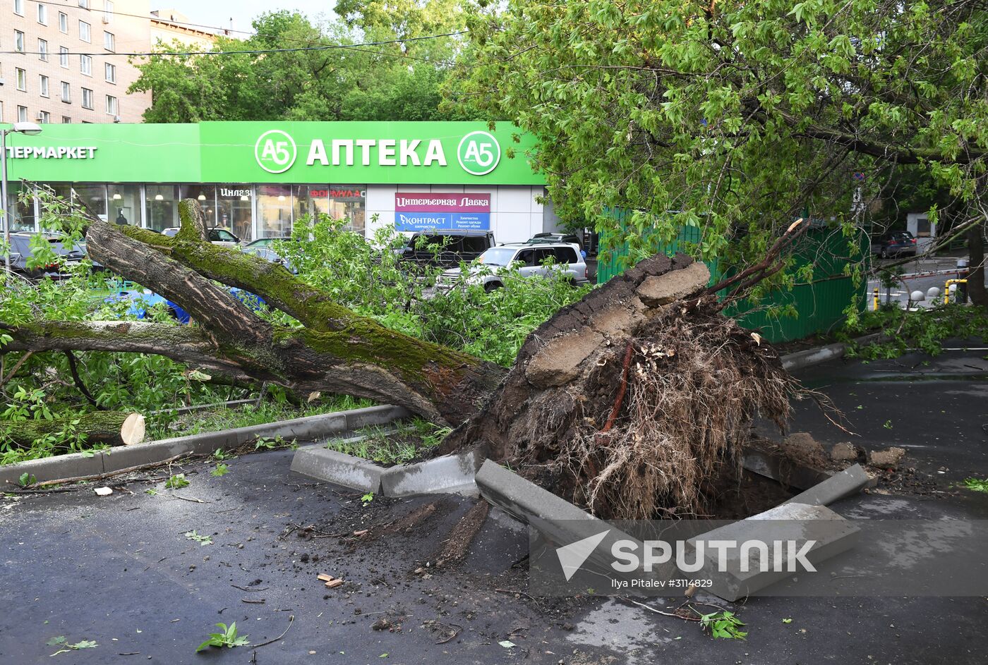 Hurricane aftermath in Moscow