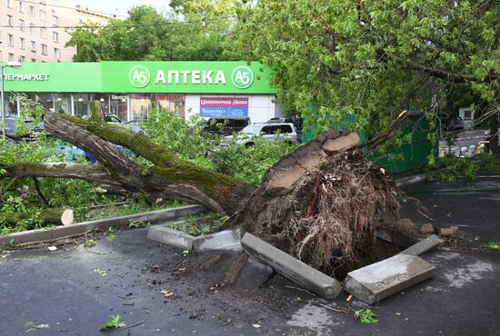 Hurricane aftermath in Moscow