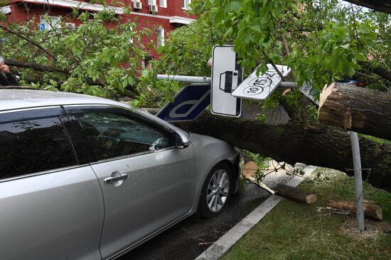 Hurricane aftermath in Moscow