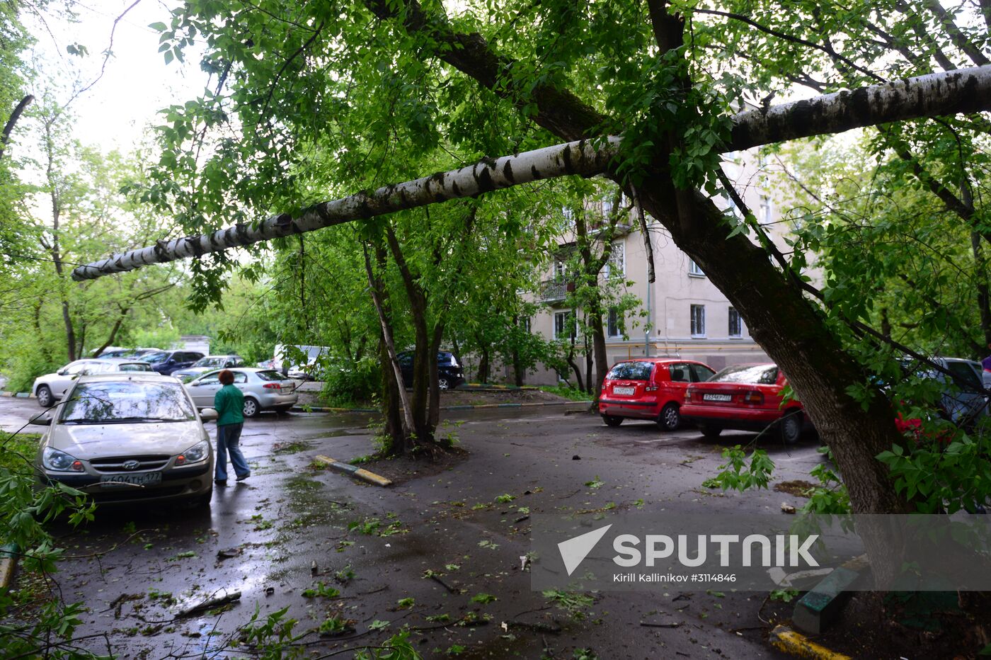 Hurricane aftermath in Moscow