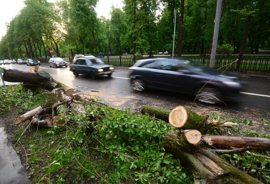 Hurricane aftermath in Moscow