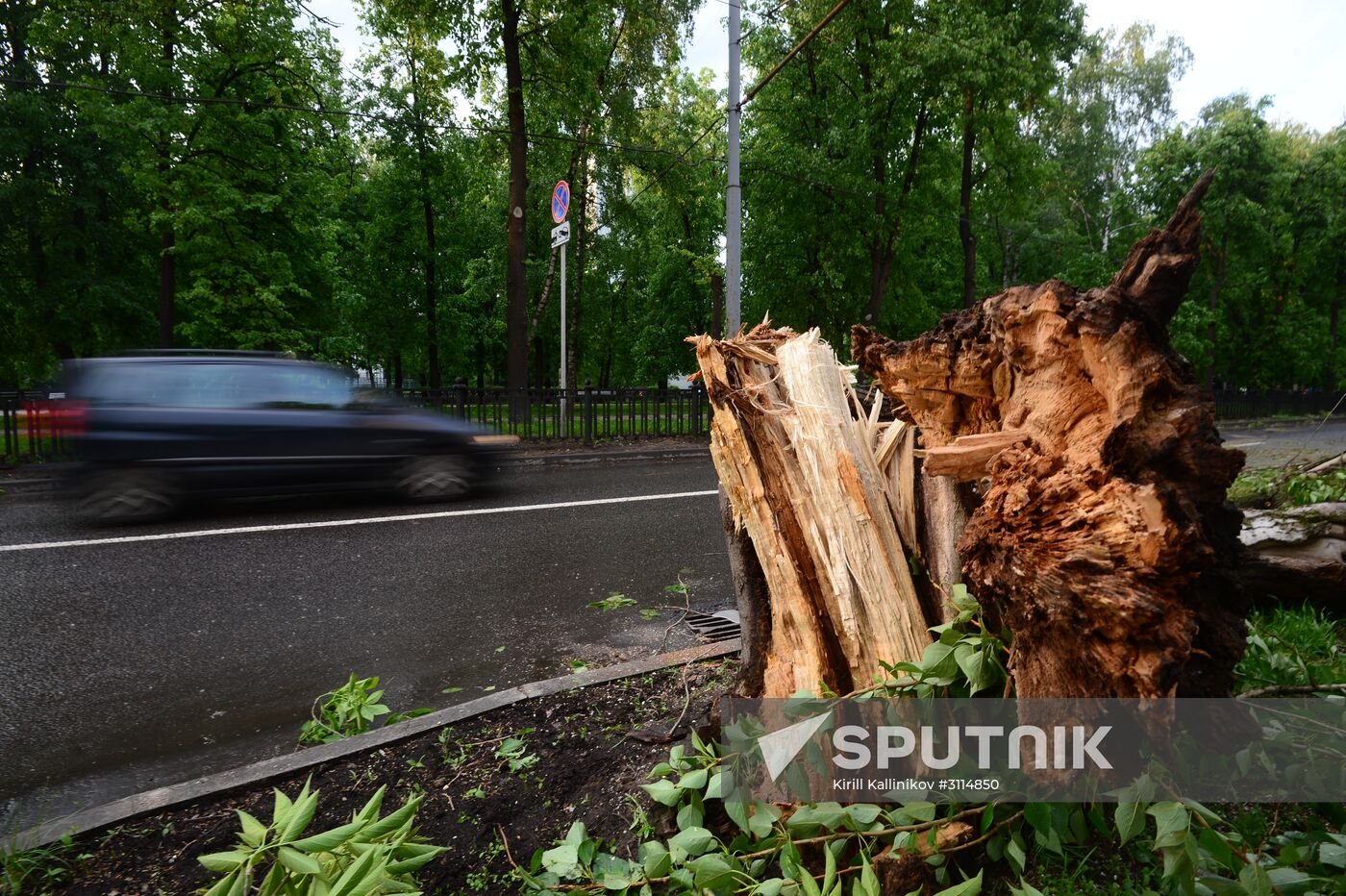 Hurricane aftermath in Moscow
