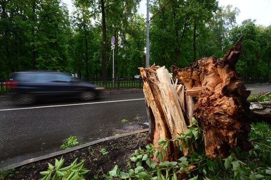 Hurricane aftermath in Moscow
