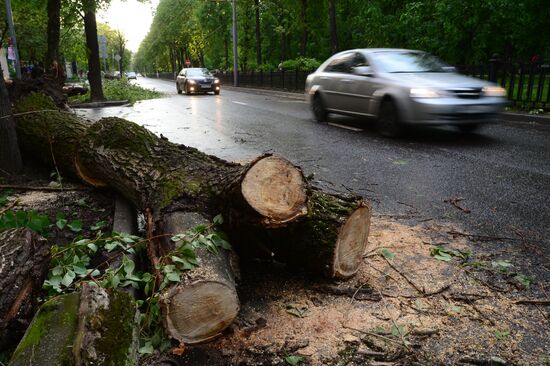 Hurricane aftermath in Moscow