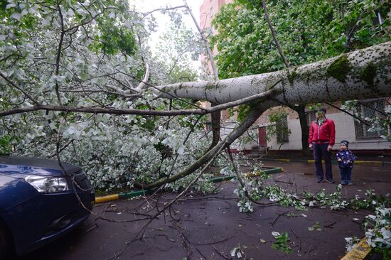 Hurricane aftermath in Moscow