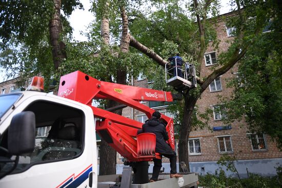 Sorting out hurricane aftermath in Moscow