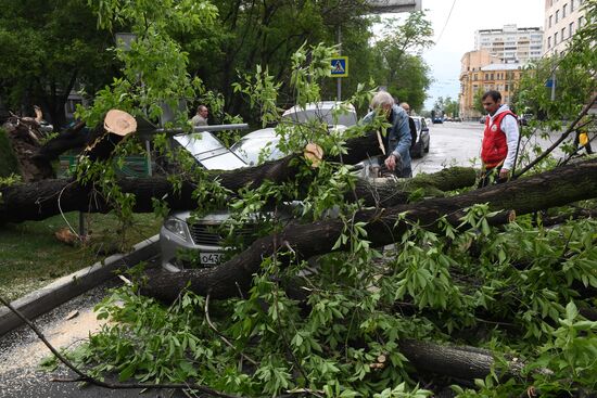 Hurricane aftermath in Moscow