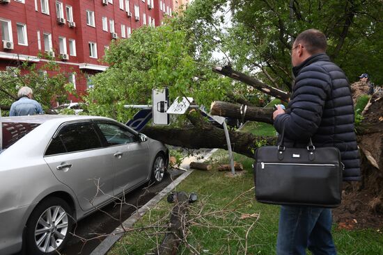 Hurricane aftermath in Moscow