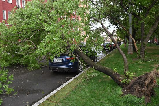Hurricane aftermath in Moscow