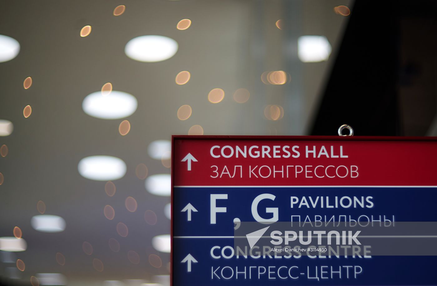 Preparations for St. Petersburg International Economic Forum opening