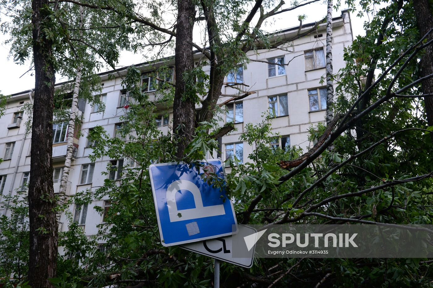 Hurricane aftermath in Moscow
