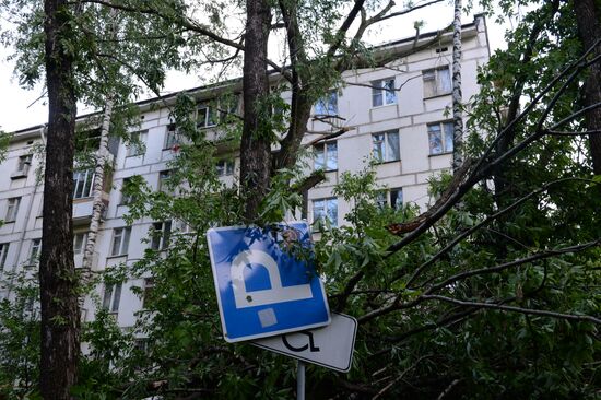 Hurricane aftermath in Moscow
