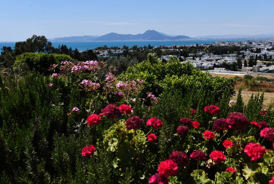 Countries of the world. Tunisia