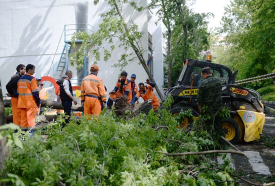 Cleanup operations after hurricane hits Moscow