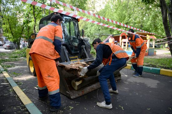 Cleanup operations after hurricane hits Moscow