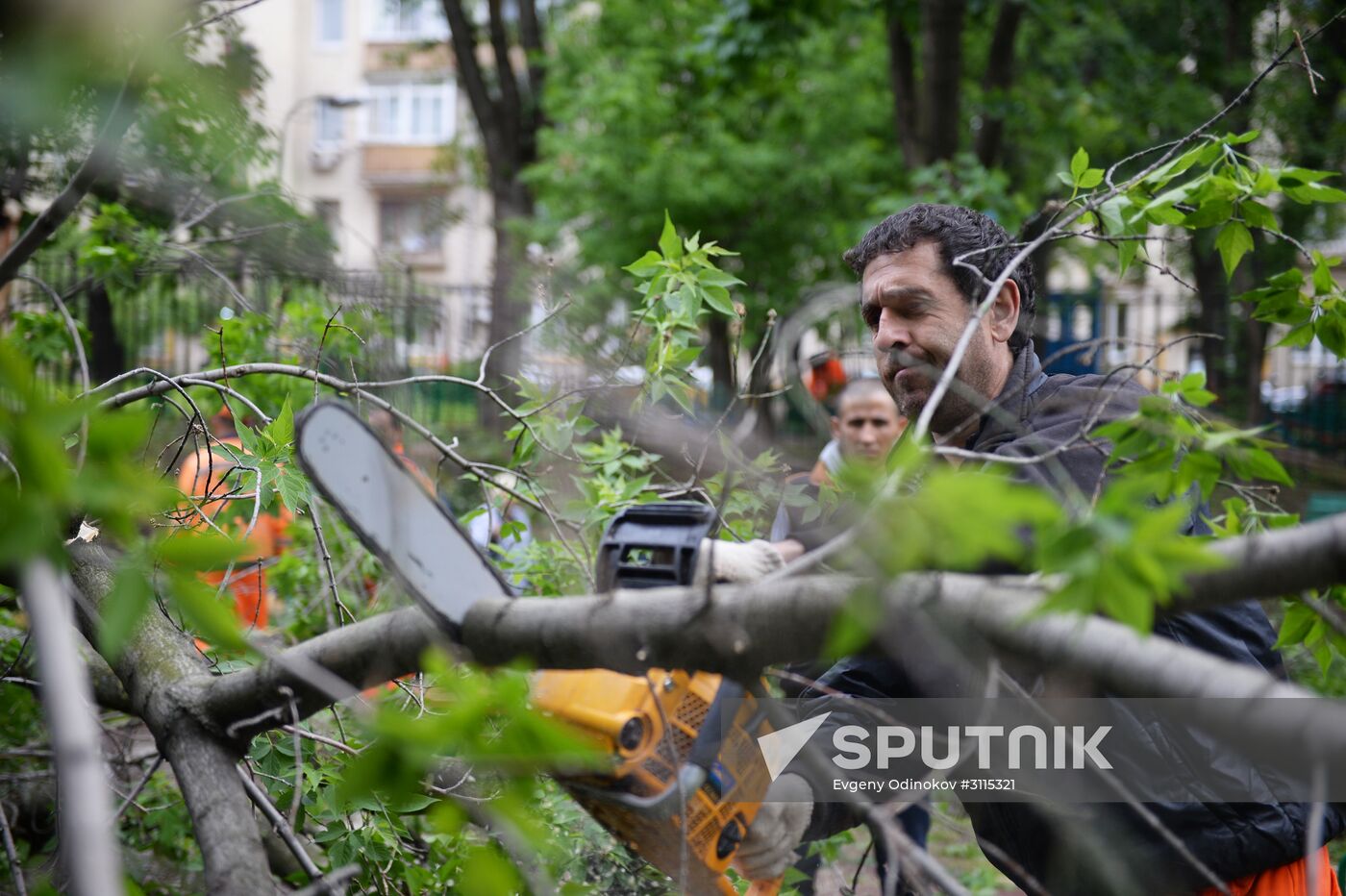 Cleanup operations after hurricane hits Moscow