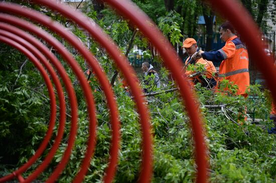Cleanup operations after hurricane hits Moscow