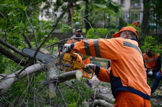 Cleanup operations after hurricane hits Moscow