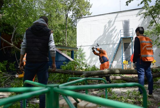 Cleanup operations after hurricane hits Moscow