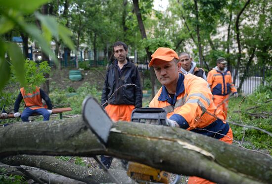 Cleanup operations after hurricane hits Moscow