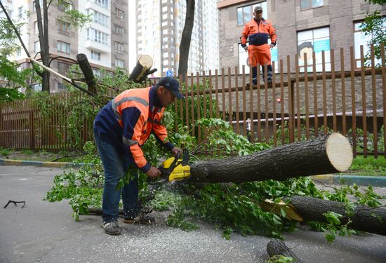 Cleanup operations after hurricane hits Moscow
