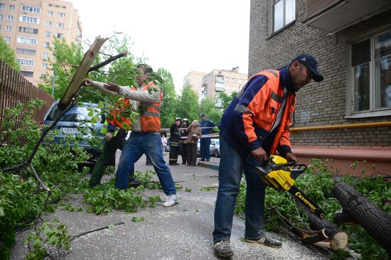 Cleanup operations after hurricane hits Moscow
