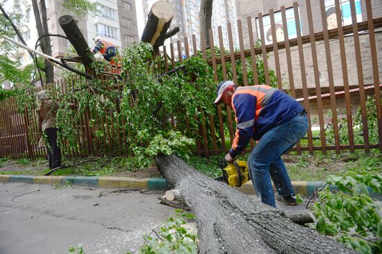 Cleanup operations after hurricane hits Moscow