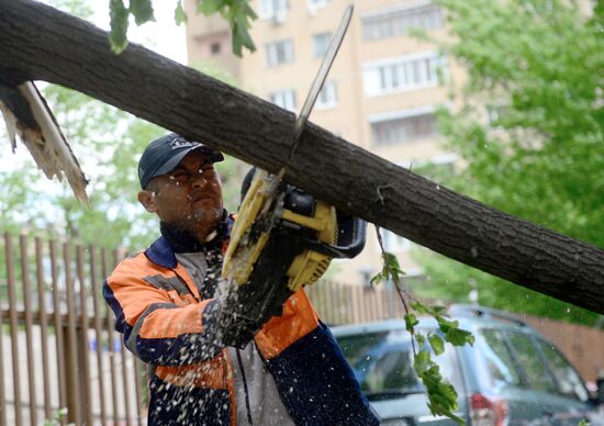 Cleanup operations after hurricane hits Moscow
