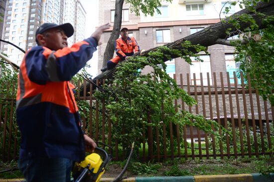 Cleanup operations after hurricane hits Moscow